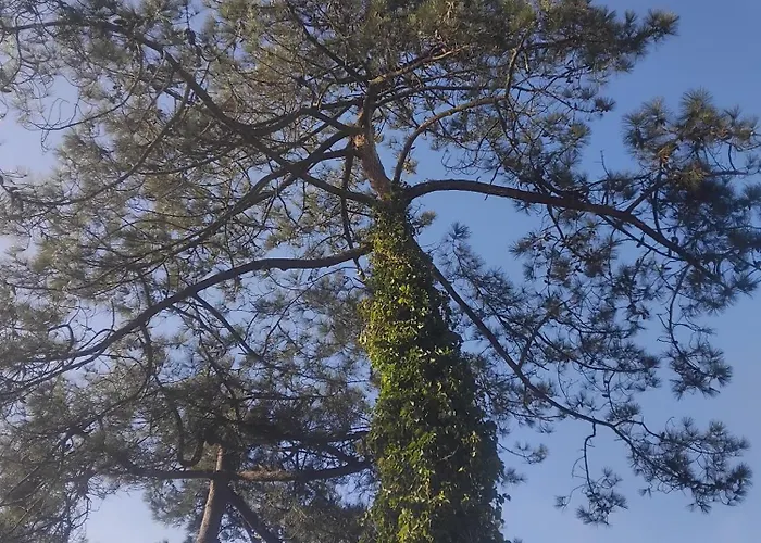 Le Mobil Bleu ! Kemping Montalivet-les-Bains